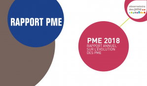 rapport PME 2018
